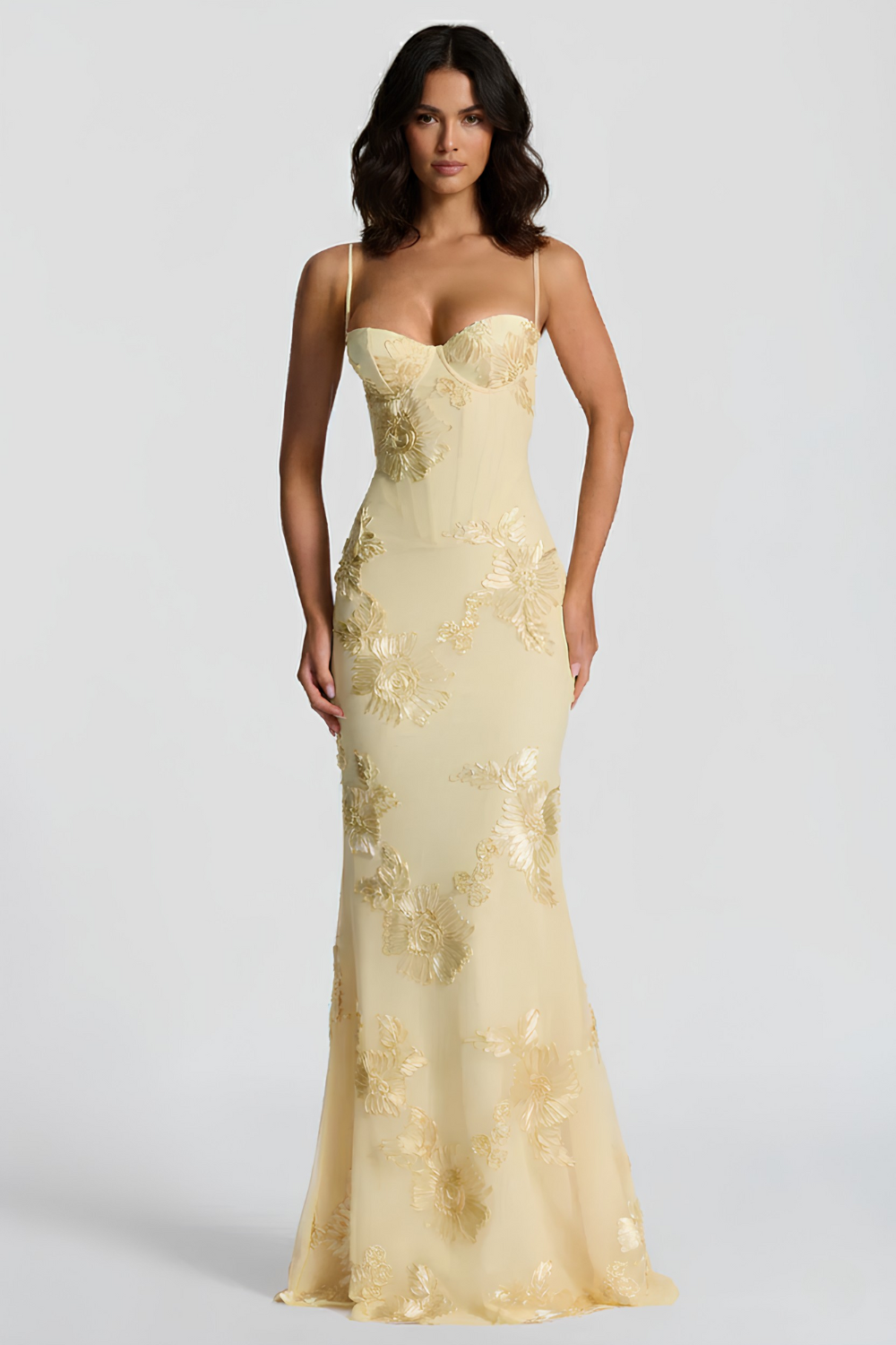 Vienna Bustier Long Dress